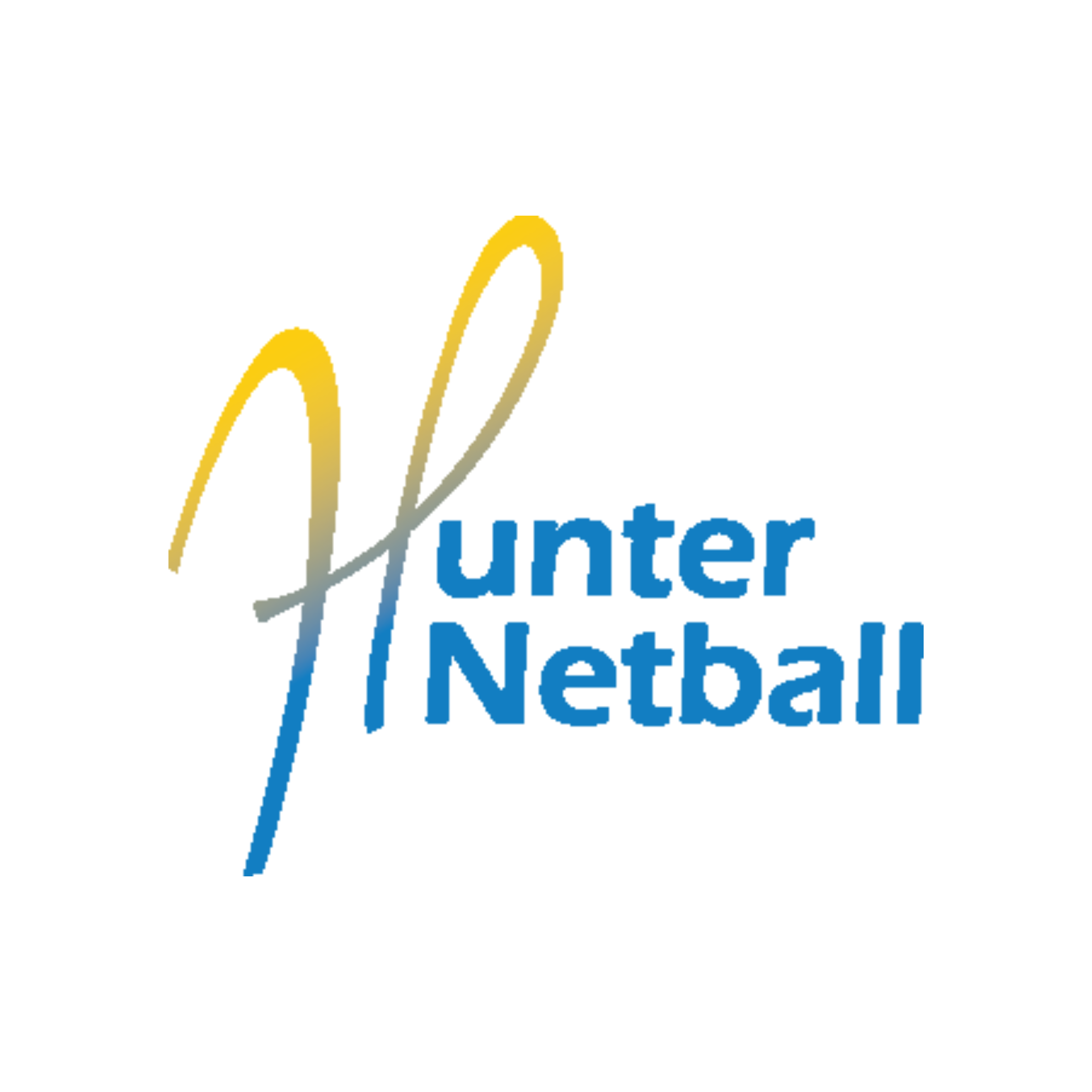 Hunter Netball