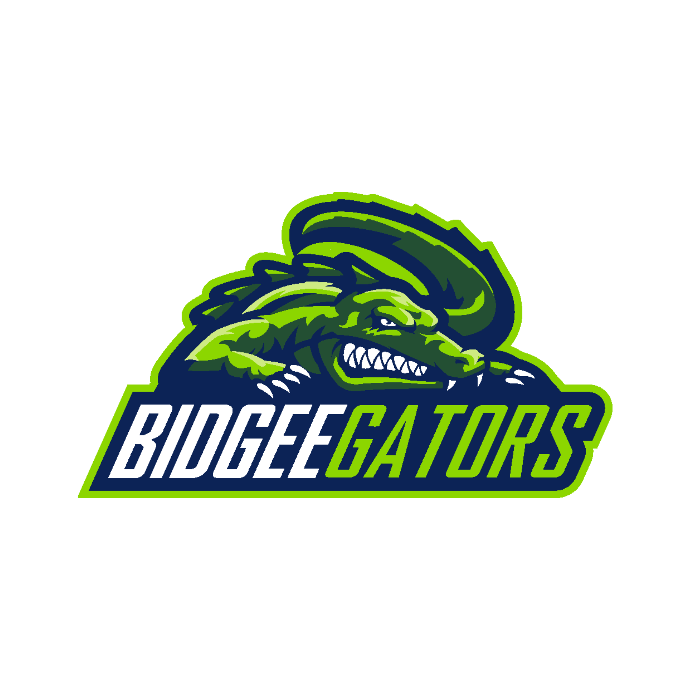 Wagga Wagga Bidgeegators Water Polo